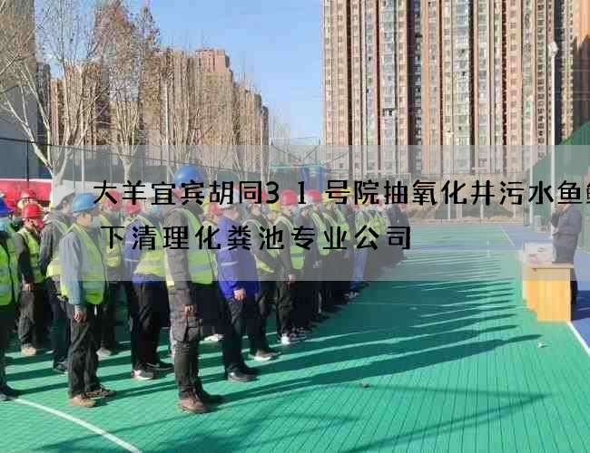 大羊宜宾胡同31号院抽氧化井污水鱼鱿天下清理化粪池专业公司