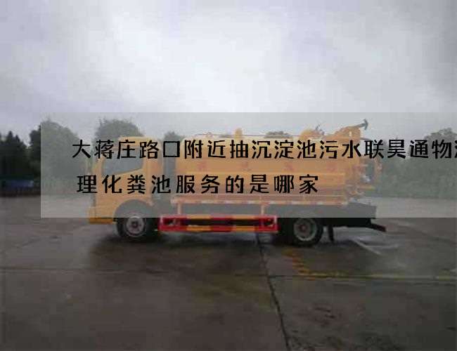 大蒋庄路口附近抽沉淀池污水联昊通物流清理化粪池服务的是哪家