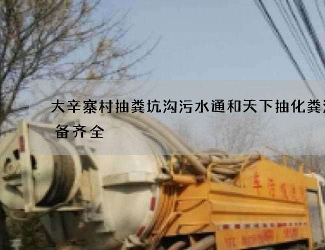 大辛寨村抽粪坑沟污水通和天下抽化粪池设备齐全