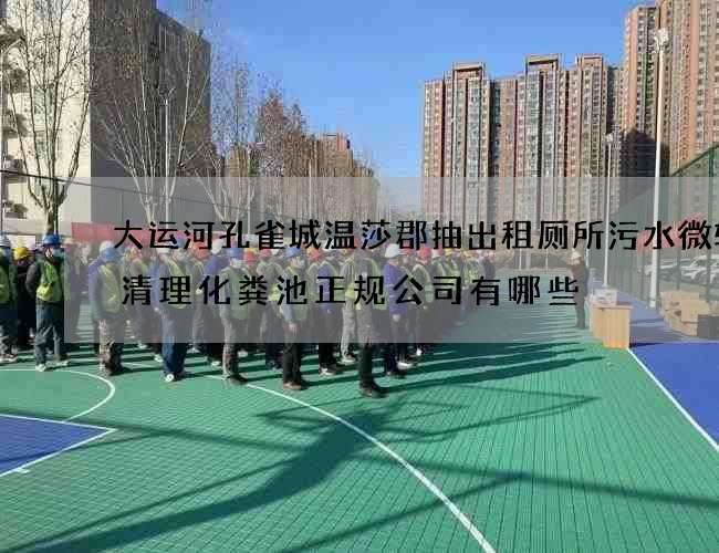 大运河孔雀城温莎郡抽出租厕所污水微转运清理化粪池正规公司有哪些