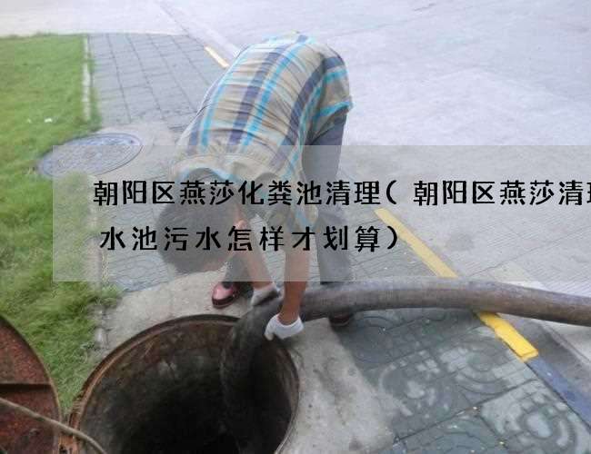 朝阳区燕莎化粪池清理(朝阳区燕莎清理污水池污水怎样才划算)