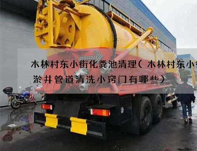 木林村东小街化粪池清理(木林村东小街集淤井管道清洗小窍门有哪些)