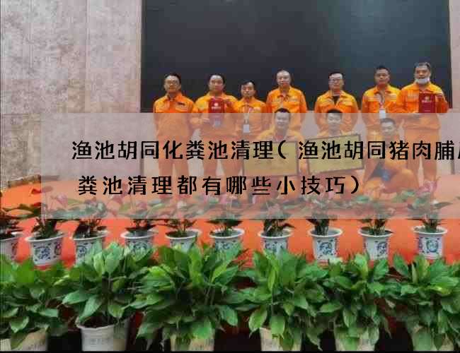 渔池胡同化粪池清理(渔池胡同猪肉脯厂化粪池清理都有哪些小技巧)