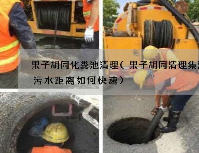 果子胡同化粪池清理(果子胡同清理集淤沟污水距离如何快速) 果子胡同化粪池清理(果子胡同清理集淤沟污水距离如何快速)