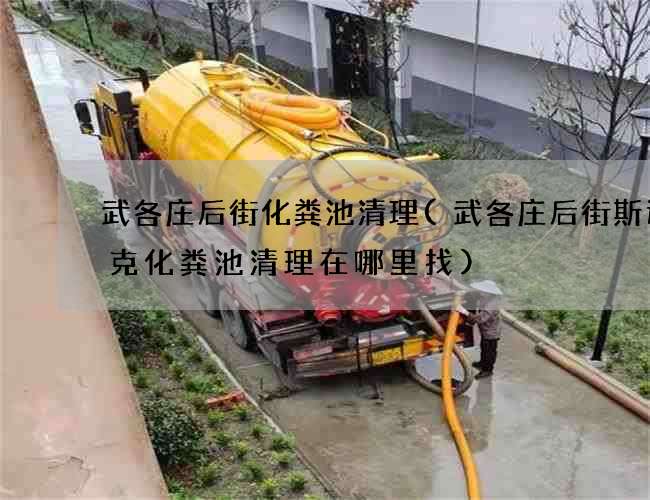 武各庄后街化粪池清理(武各庄后街斯达泰克化粪池清理在哪里找)