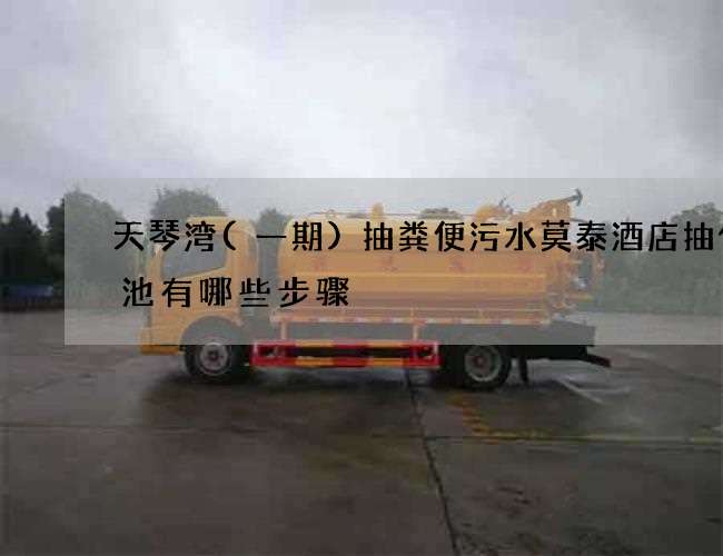 天琴湾(一期)抽粪便污水莫泰酒店抽化粪池有哪些步骤 天琴湾(一期)抽粪便污水莫泰酒店抽化粪池有哪些步骤