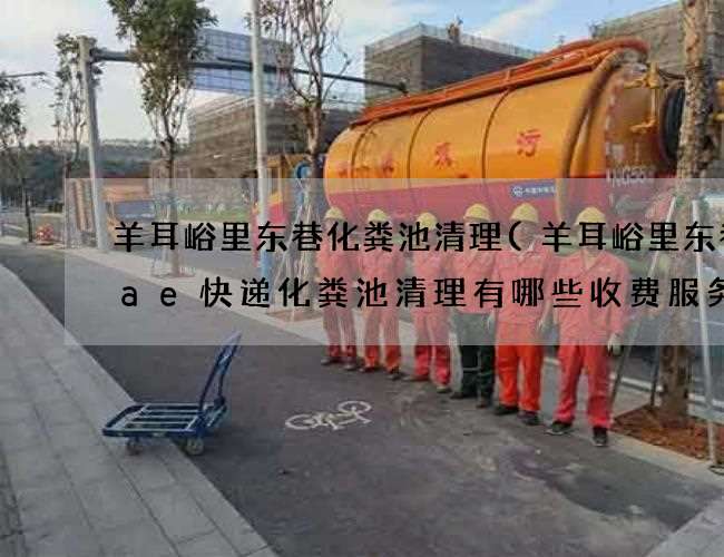 羊耳峪里东巷化粪池清理(羊耳峪里东巷aae快递化粪池清理有哪些收费服务)