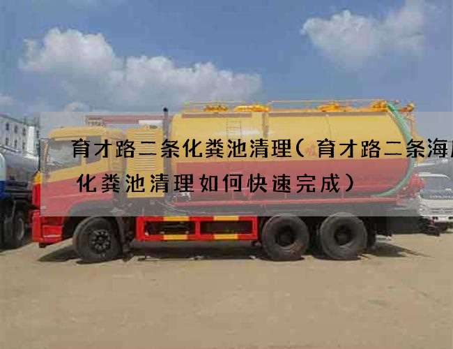 育才路二条化粪池清理(育才路二条海底捞化粪池清理如何快速完成) 育才路二条化粪池清理(育才路二条海底捞化粪池清理如何快速完成)