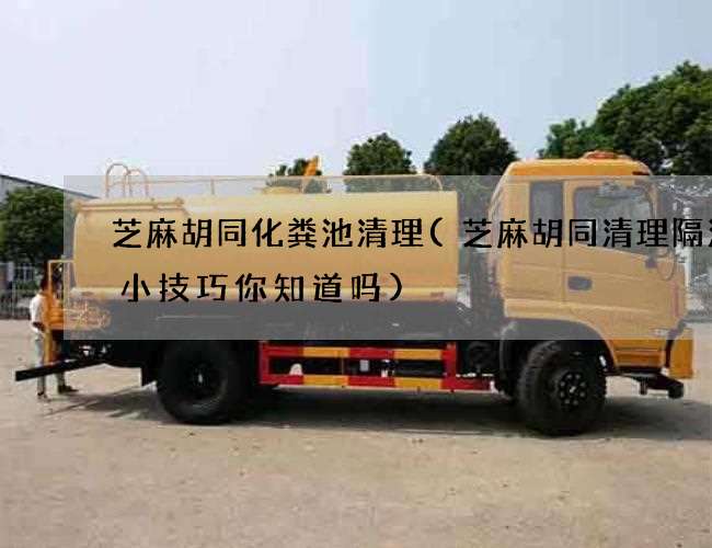 芝麻胡同化粪池清理(芝麻胡同清理隔油池小技巧你知道吗) 芝麻胡同化粪池清理(芝麻胡同清理隔油池小技巧你知道吗)