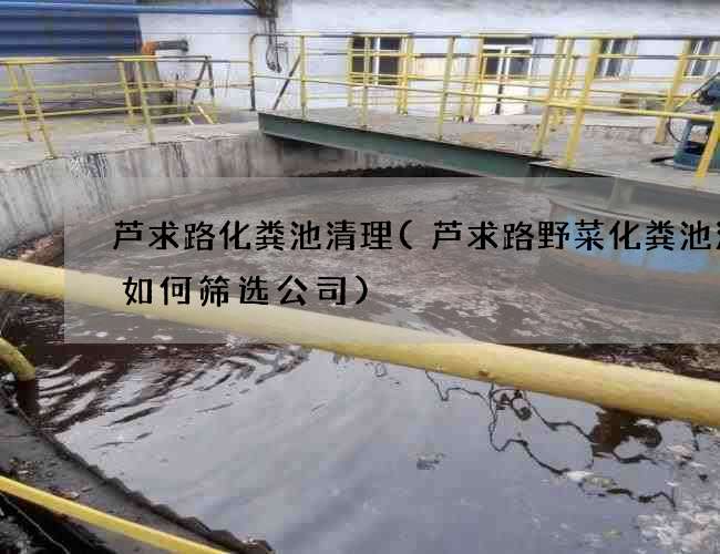 芦求路化粪池清理(芦求路野菜化粪池清理如何筛选公司) 芦求路化粪池清理(芦求路野菜化粪池清理如何筛选公司)