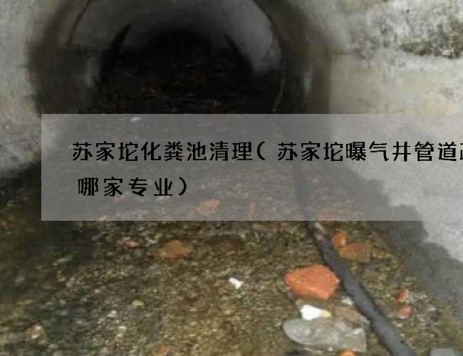 苏家坨化粪池清理(苏家坨曝气井管道疏通哪家专业) 苏家坨化粪池清理(苏家坨曝气井管道疏通哪家专业)