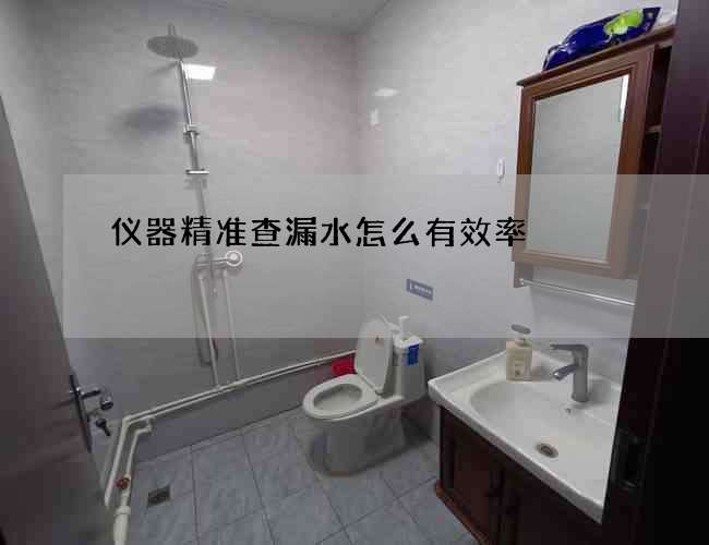 仪器精准查漏水怎么有效率 仪器精准查漏水怎么有效率