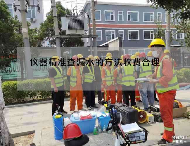 仪器精准查漏水的方法收费合理 仪器精准查漏水的方法收费合理