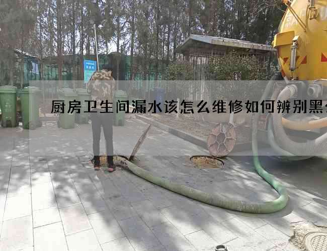 厨房卫生间漏水该怎么维修如何辨别黑公司 厨房卫生间漏水该怎么维修如何辨别黑公司