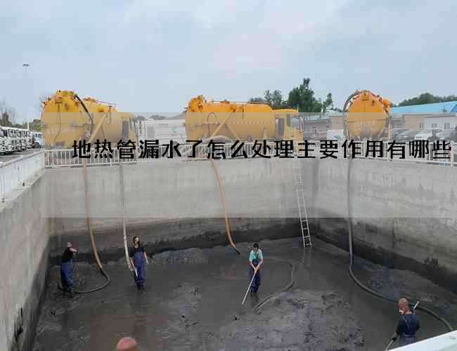 地热管漏水了怎么处理主要作用有哪些 地热管漏水了怎么处理主要作用有哪些