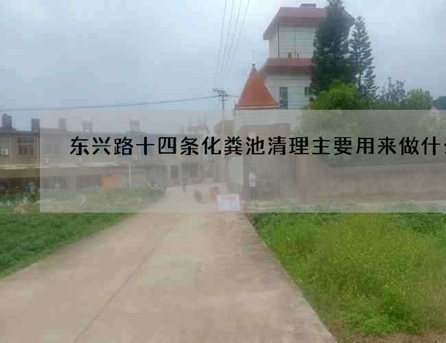 东兴路十四条化粪池清理主要用来做什么