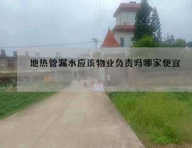 地热管漏水应该物业负责吗哪家便宜 地热管漏水应该物业负责吗哪家便宜