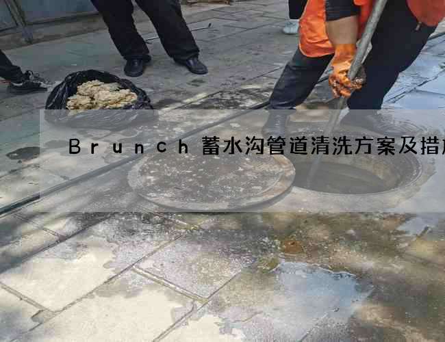 Brunch蓄水沟管道清洗方案及措施 Brunch蓄水沟管道清洗方案及措施