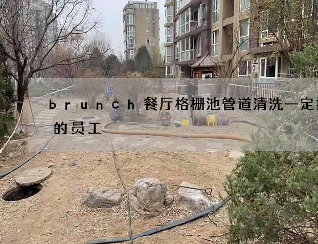 brunch餐厅格栅池管道清洗一定拥有的员工 brunch餐厅格栅池管道清洗一定拥有的员工