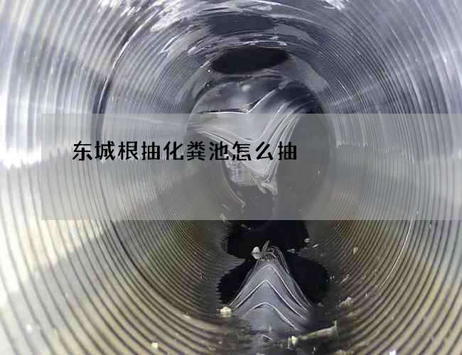 东城根抽化粪池怎么抽 东城根抽化粪池怎么抽