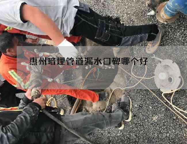 惠州暗埋管道漏水口碑哪个好 惠州暗埋管道漏水口碑哪个好