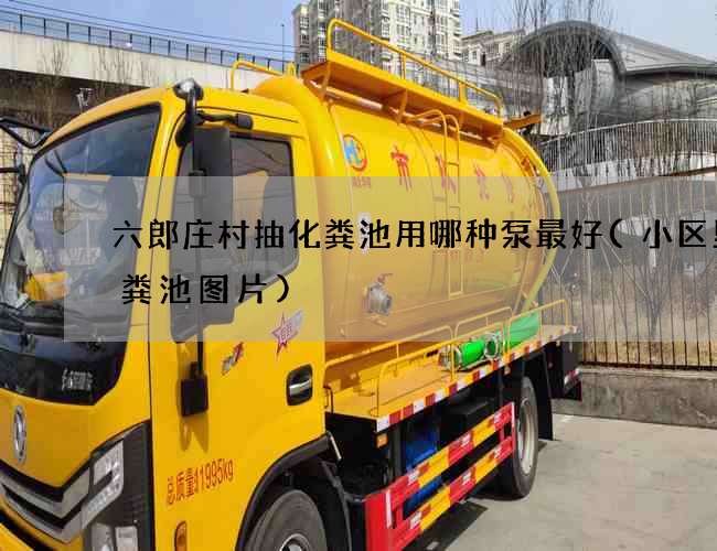 六郎庄村抽化粪池用哪种泵最好(小区里化粪池图片)