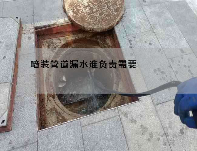 暗装管道漏水谁负责需要 暗装管道漏水谁负责需要