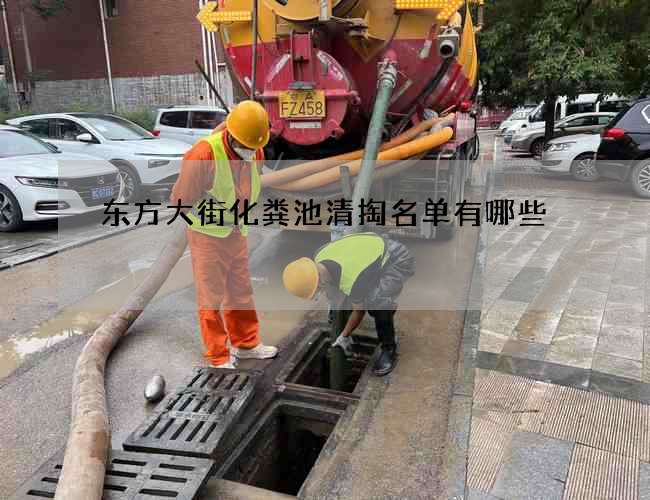 东方大街化粪池清掏名单有哪些 东方大街化粪池清掏名单有哪些