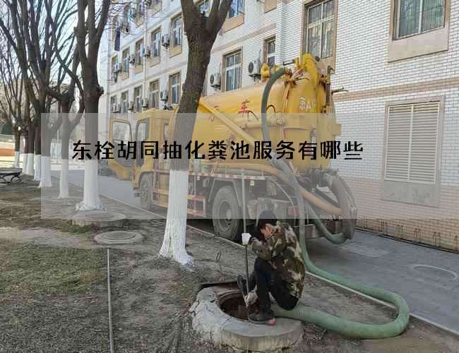 东栓胡同抽化粪池服务有哪些