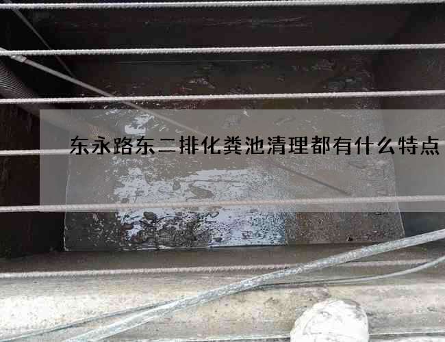 东永路东二排化粪池清理都有什么特点 东永路东二排化粪池清理都有什么特点