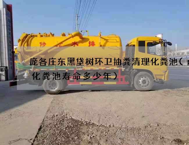 庞各庄东黑垡树环卫抽粪清理化粪池(pe化粪池寿命多少年)