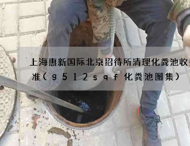 上海惠新国际北京招待所清理化粪池收费标准(g512sqf化粪池图集) 上海惠新国际北京招待所清理化粪池收费标准(g512sqf化粪池图集)