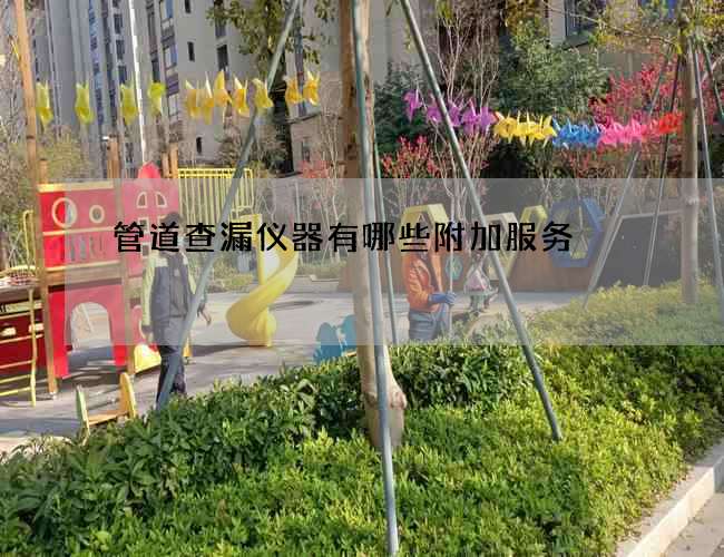 管道查漏仪器有哪些附加服务 管道查漏仪器有哪些附加服务