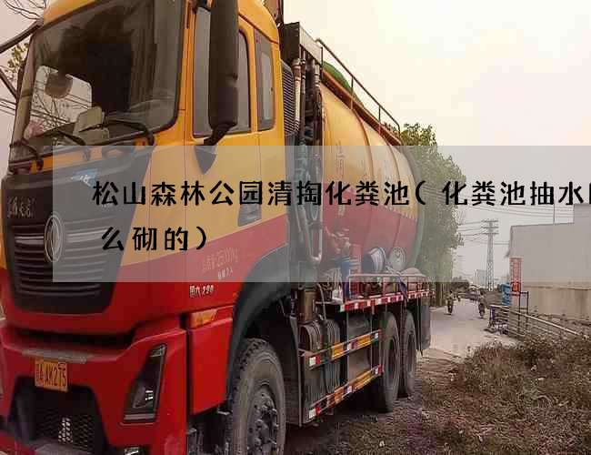 松山森林公园清掏化粪池(化粪池抽水口怎么砌的)