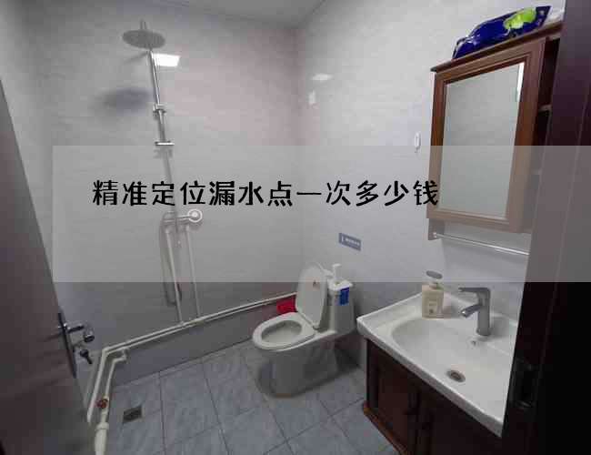 精准定位漏水点一次多少钱?的这几个方法来 精准定位漏水点一次多少钱?的这几个方法来