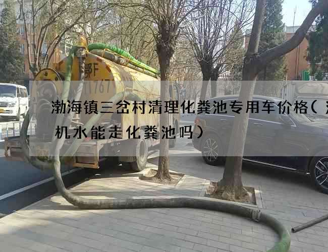 渤海镇三岔村清理化粪池专用车价格(洗衣机水能走化粪池吗)