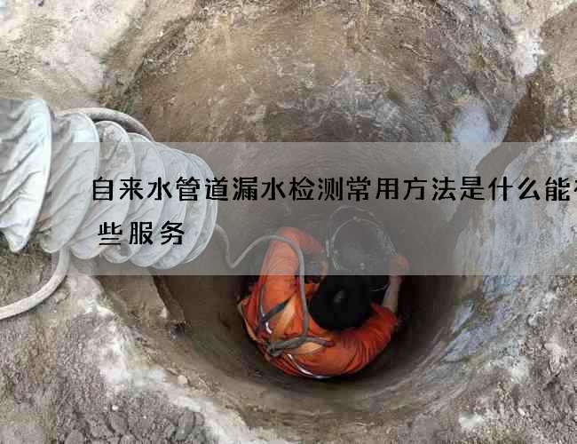 自来水管道漏水检测常用方法是什么能有哪些服务 自来水管道漏水检测常用方法是什么能有哪些服务