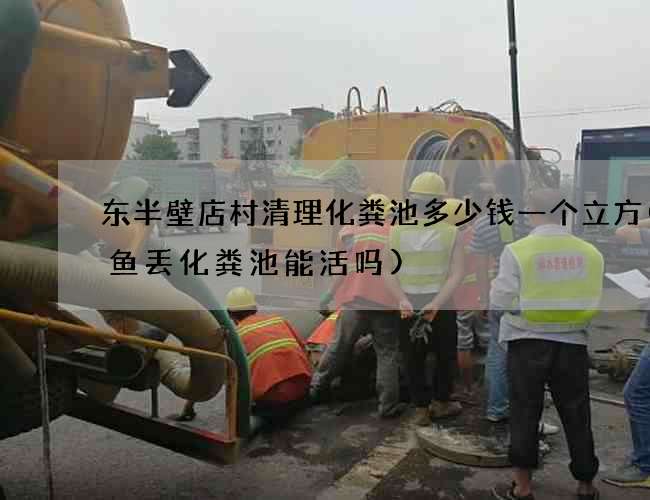 东半壁店村清理化粪池多少钱一个立方(鲶鱼丢化粪池能活吗) 东半壁店村清理化粪池多少钱一个立方(鲶鱼丢化粪池能活吗)