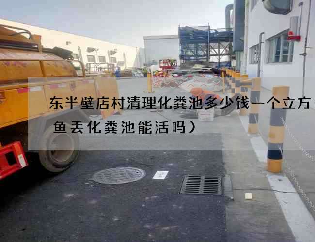 东半壁店村清理化粪池多少钱一个立方(鲶鱼丢化粪池能活吗) 东半壁店村清理化粪池多少钱一个立方(鲶鱼丢化粪池能活吗)