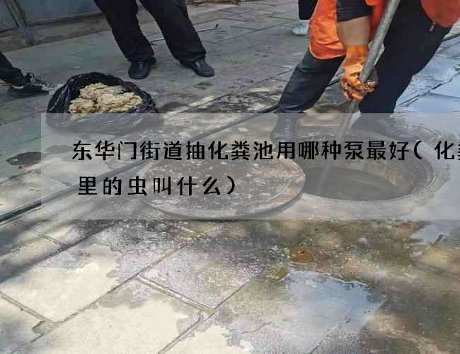 东华门街道抽化粪池用哪种泵最好(化粪池里的虫叫什么)