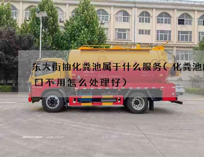 东大街抽化粪池属于什么服务(化粪池的出口不用怎么处理好)