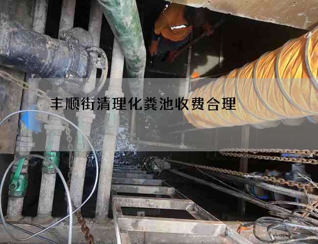 丰顺街清理化粪池收费合理