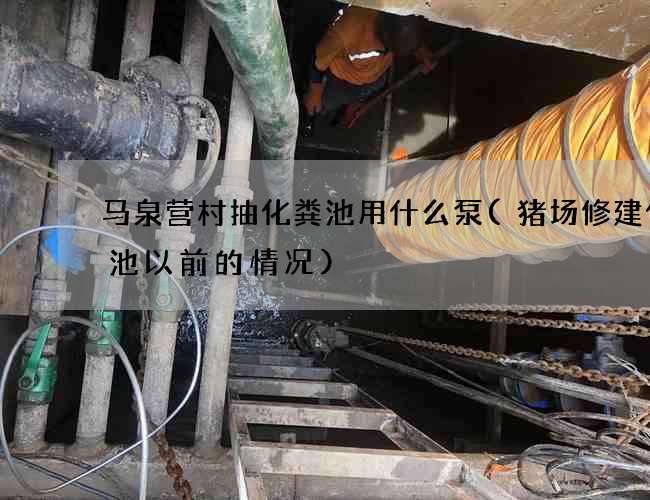 马泉营村抽化粪池用什么泵(猪场修建化粪池以前的情况)
