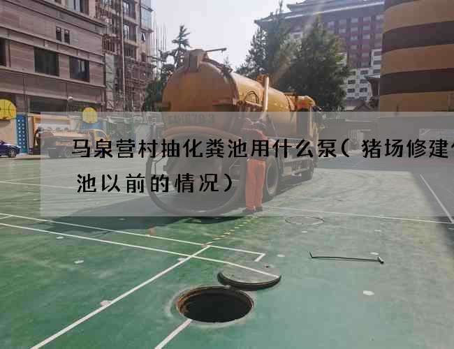 马泉营村抽化粪池用什么泵(猪场修建化粪池以前的情况)
