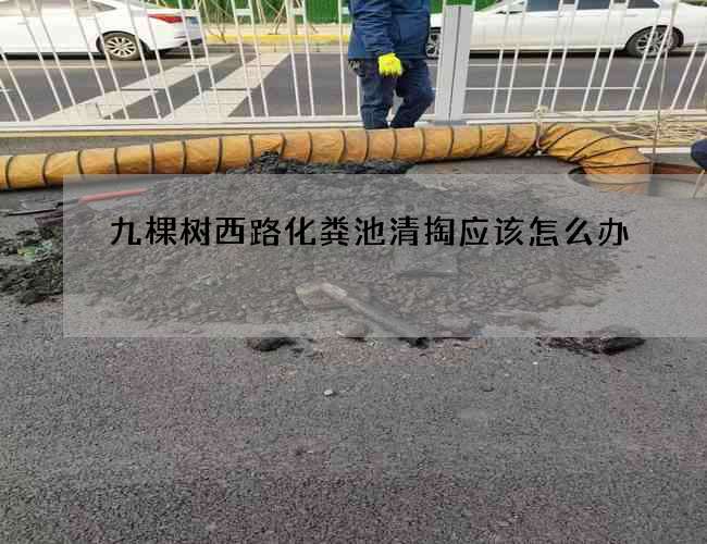 九棵树西路化粪池清掏应该怎么办
