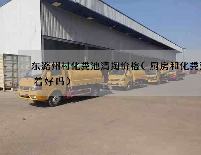 东潞州村化粪池清掏价格(厨房和化粪池挨着好吗)