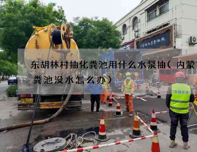 东胡林村抽化粪池用什么水泵抽(内蒙古化粪池没水怎么办)