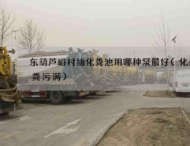 东葫芦峪村抽化粪池用哪种泵最好(化粪池粪污满)