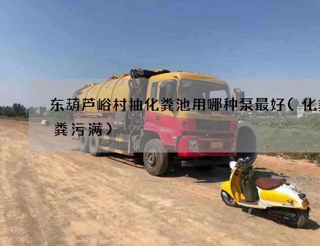 东葫芦峪村抽化粪池用哪种泵最好(化粪池粪污满)