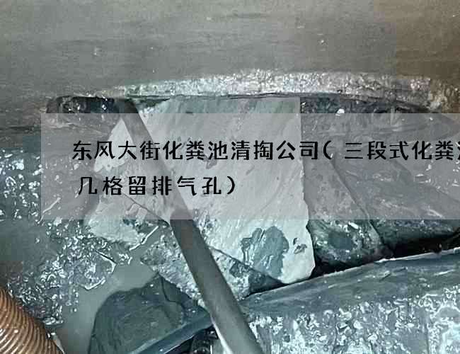东风大街化粪池清掏公司(三段式化粪池第几格留排气孔)